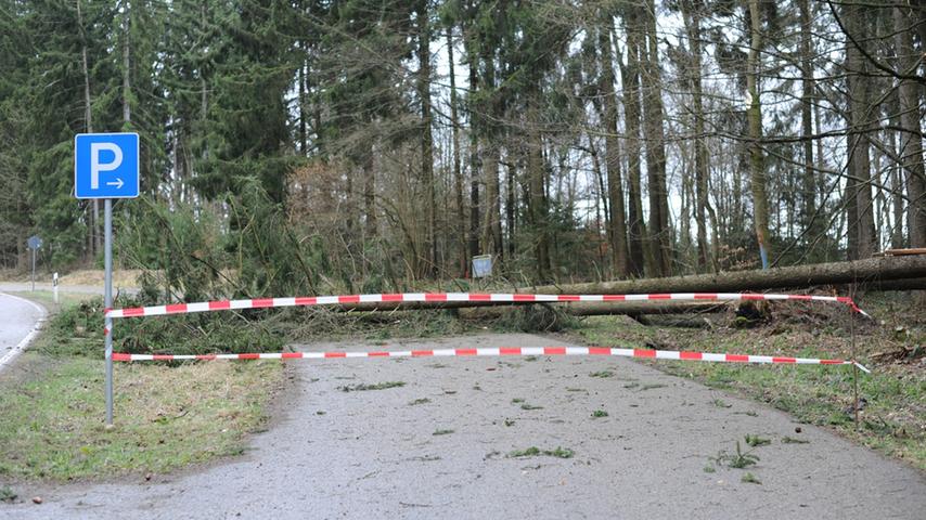 Auch im Landkreis Neumarkt legte der Sturm reihenweise Bäume um.