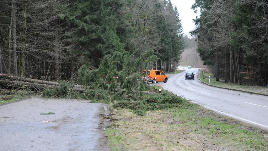 Auch im Landkreis Neumarkt legte der Sturm reihenweise Bäume um.