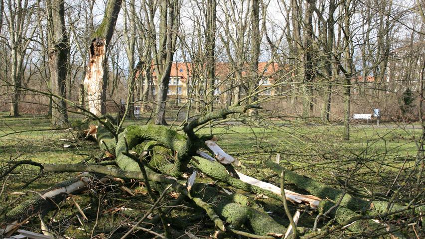 Im Kurpark mussten zeitweise sogar Wege gesperrt werden, weil wegen umstürzender Bäume Lebensgefahr herrschte. Ein zirka 28 Meter hoher Baum brach aufgrund der Windstärke auseinander.