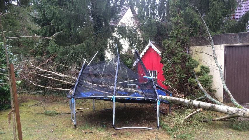 Der Sturm "Niklas" hat in einem Erlanger Garten eine Birke gefällt und eine Schaukel und ein Trampolin zerstört.