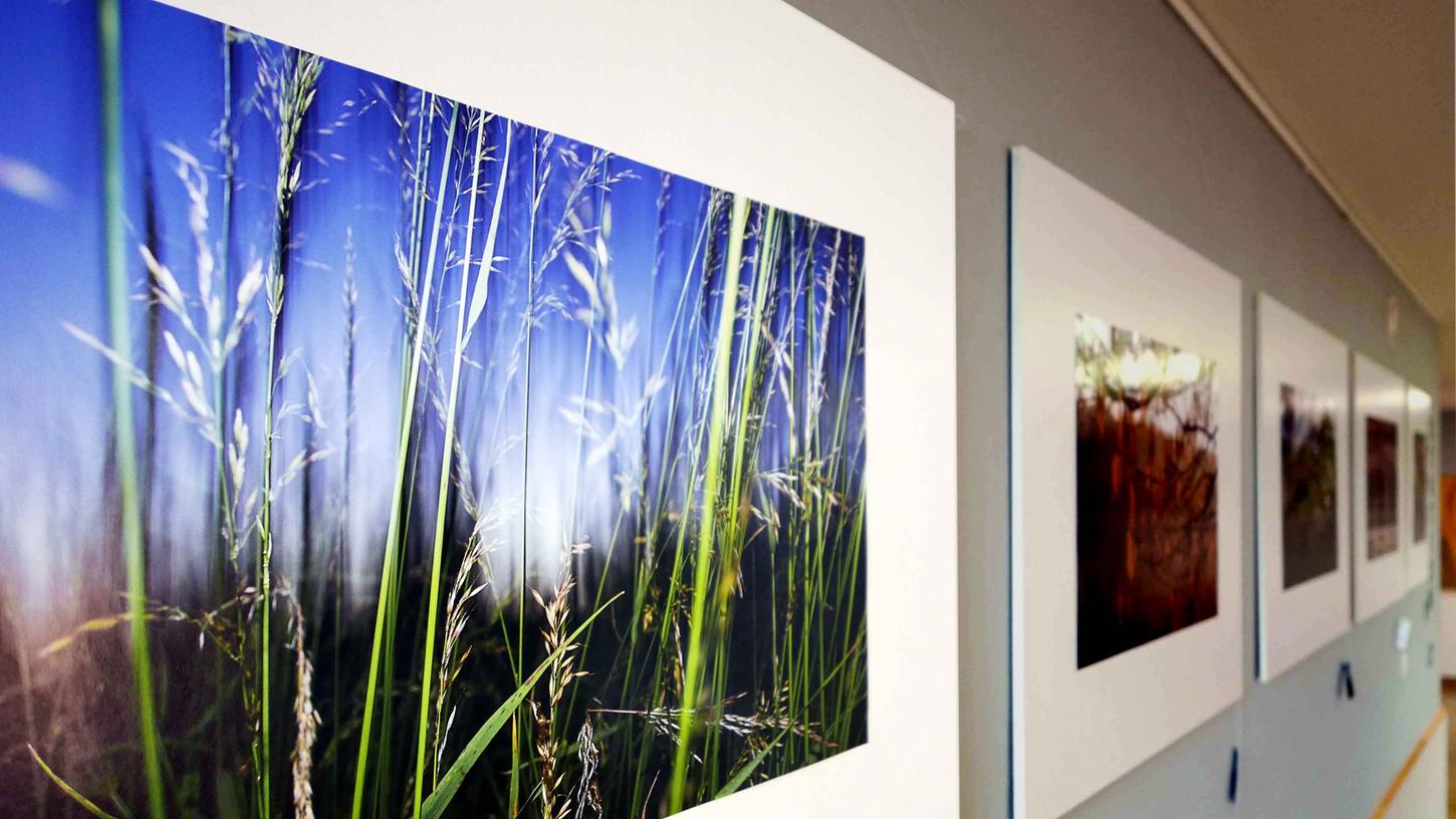 Nur scheinbar unscheinbar: Ausstellung über Fränkische Natur Nur scheinbar unscheinbar: Ausstellung über Fränkische Natur