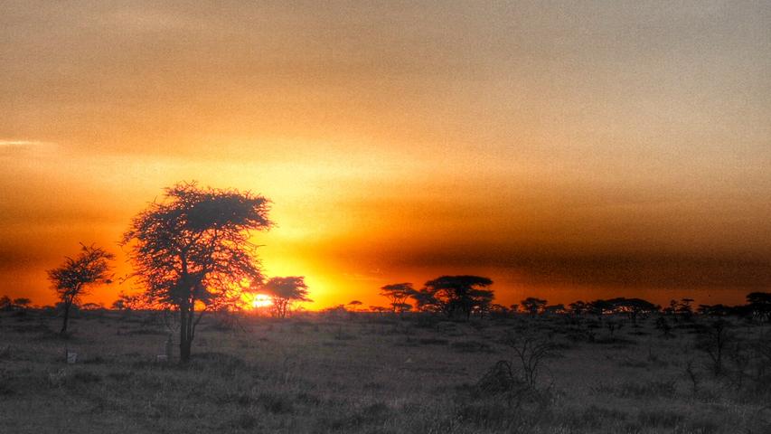 Sonnenuntergang über der weiten Steppe der Serengeti.