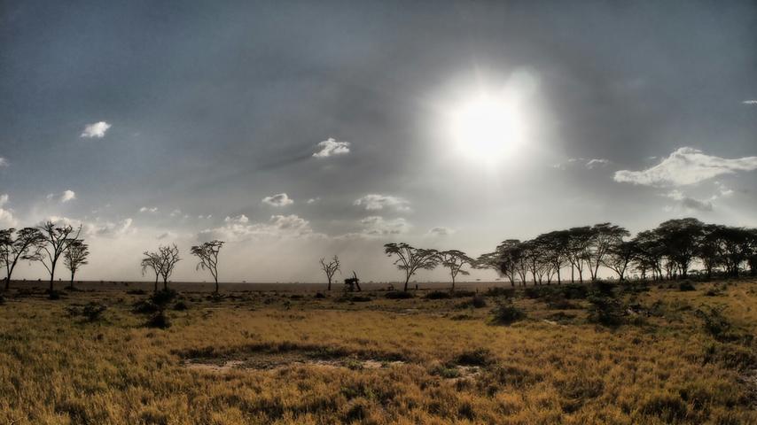 Heiß brennt die Sonne über der Serengeti.