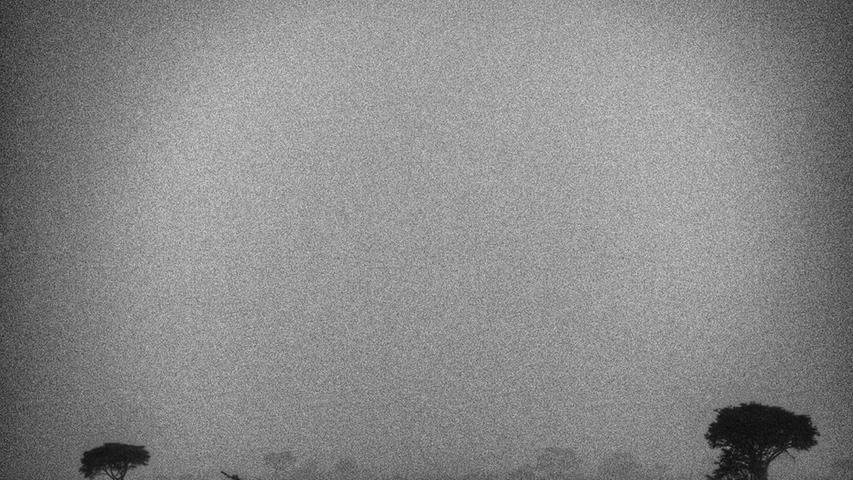 Regenwetter-Stimmung über der Serengeti.