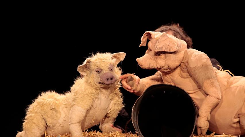 Das Theater Urknall führt "Drei Schweine" am Sonntag den 17. Mai um 15 Uhr im Kulturforum in Fürth auf.
