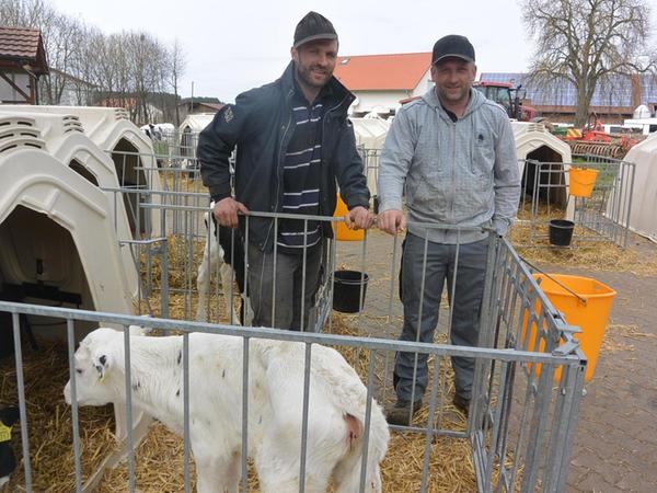 Kreis Neumarkt: Milchbauer klotzt mit Riesenstall