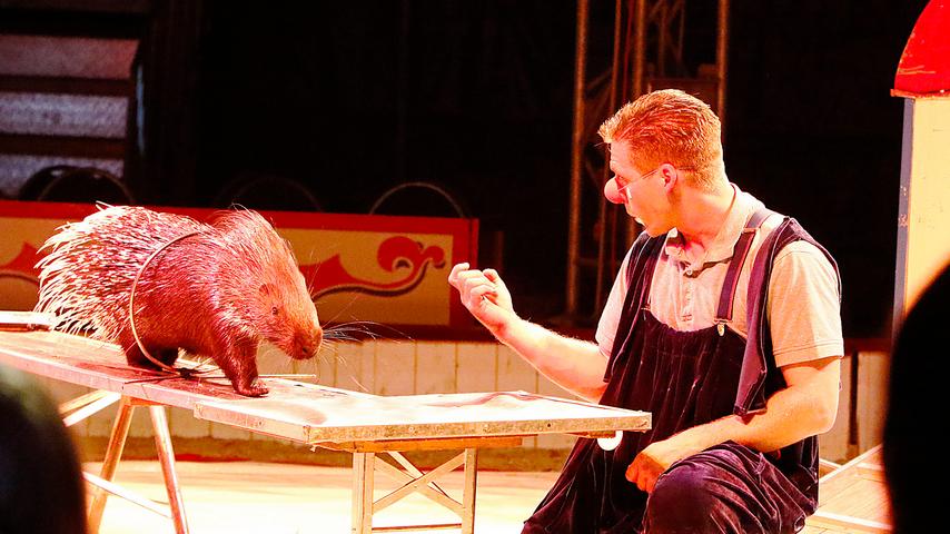Zirkus Crocofant und das waghalsige Stachelschwein