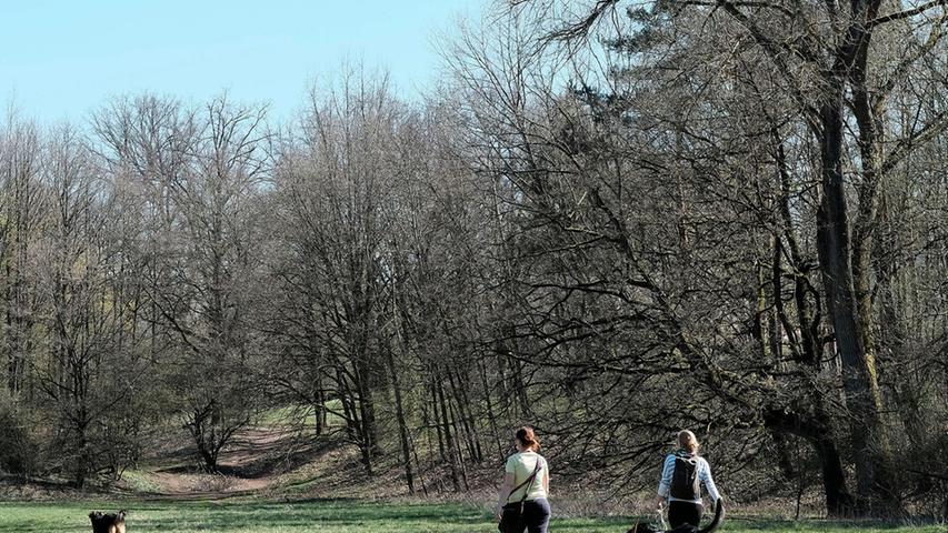 Nürnberg bekommt ein neues Naturschutzgebiet, noch dazu innenstadtnah: Das Pegnitztal Ost soll wegen seiner hohen ökologischen Bedeutung vom Landschafts- zum Naturschutzgebiet aufgewertet werden. Allerdings gibt es auch Kritik...