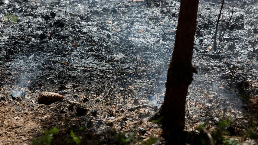 Waldboden stand auf 4000 Quadratmetern in Flammen