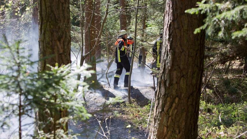 Waldboden stand auf 4000 Quadratmetern in Flammen
