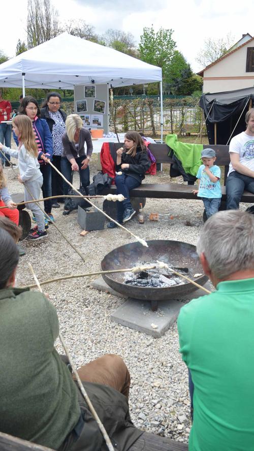 Baggern, kehren, hacken: Tag der Offenen Tür im Garten- und Friedhofsamt