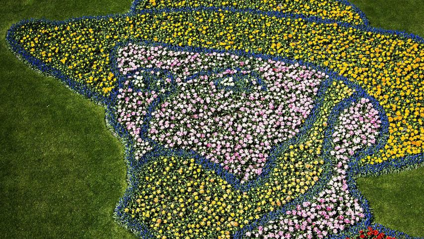 Und die Niederländer wissen die Blumenpracht gut einzusetzen. So wurde 2015 im Keukenhof in Lisse ein riesiges Vincent van Gogh-Portrait aus Tulpen gepflanzt: 250 Quadratmeter groß, bestehend aus über 60.000(!) Pflanzen.