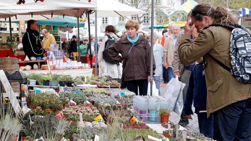 Ein Meer aus Blumen: Gartenmarkt auf der Fürther Freiheit