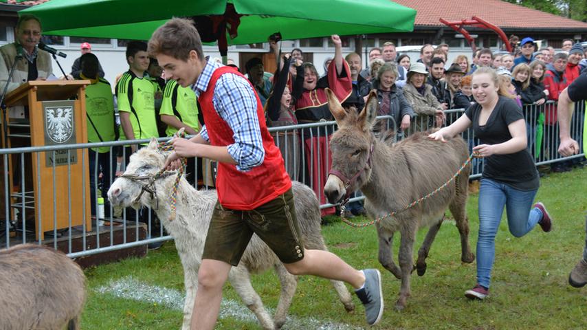 Tierische Gaudi: Eselrennen beim Frühlingsfest Neumarkt