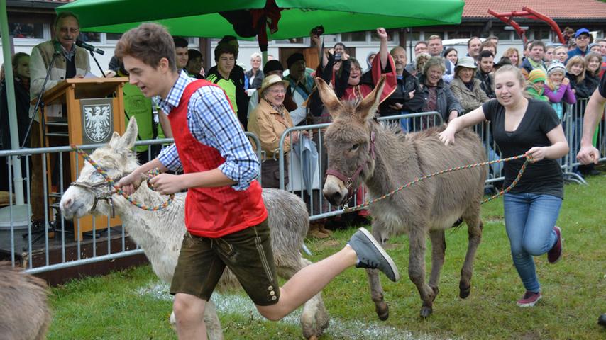 Tierische Gaudi: Eselrennen beim Frühlingsfest Neumarkt