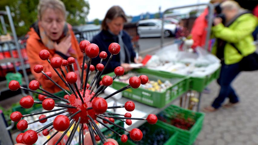 Kren und Kohlrabi beim Tag der offenen Tür im Knoblauchsland