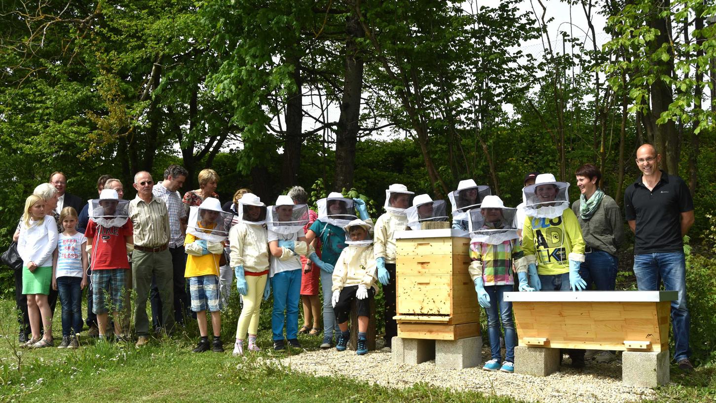 Bienenfleißige Schüler in Lauterhofen