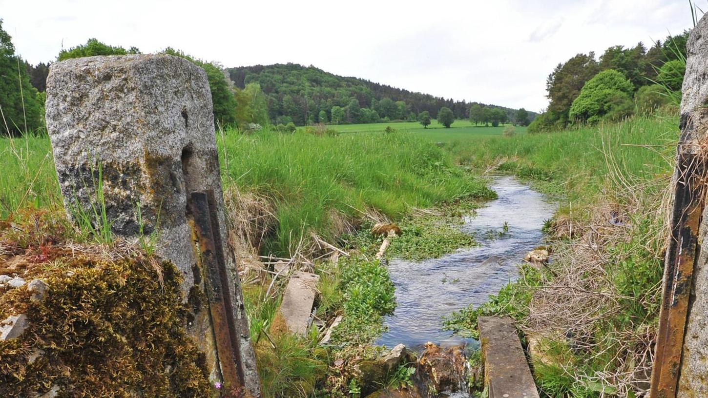 Ein Naturidyll: Die verfallenden Schwalltore am Frauenbach zeugen noch von der Zeit, als die Bauern die Wiesen regelmäßig unter Wasser gesetzt haben. 