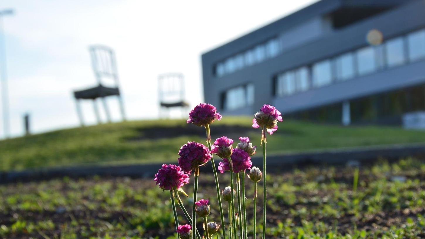 Stadtgärtnerei sorgt für Blüten im „Blumenwiesen-VerBunt“