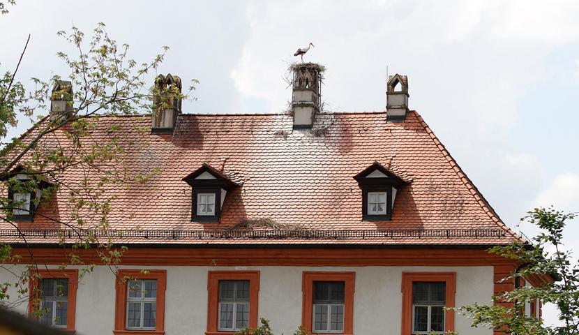 Für Sambach ist es eine kleine Sensation: Nach 33 Jahren hat sich wieder ein Storchenpaar in dem Pommersfeldener Ortsteil niedergelassen — und zwar an der besten Adresse am Platz, auf dem Dach des Schlosses.