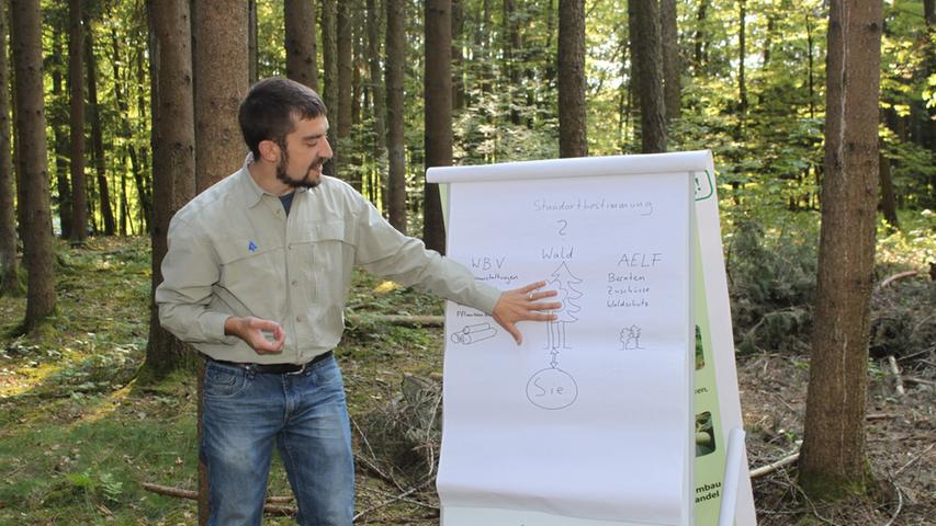 Nicht nur Männersache: Seminar für Waldbesitzerinnen bei Ermreuth