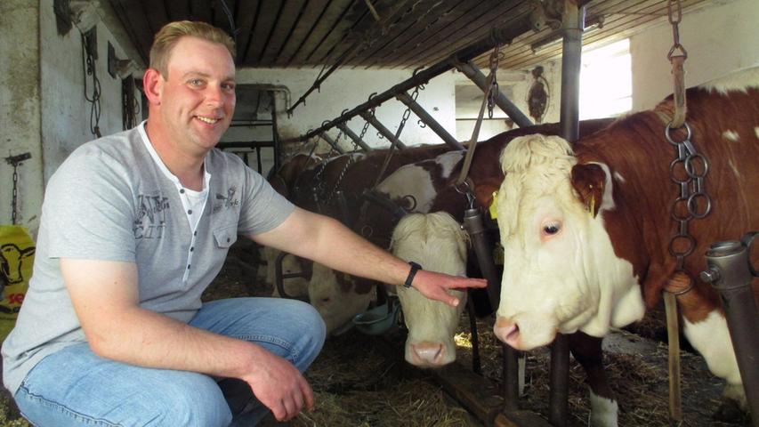Der 30-Jährige arbeitet in einem großen Milchviehbetrieb, doch wann immer er kann, hilft er zu Hause auf dem elterlichen Hof mit. Dort lebt er mit seinen Eltern.
