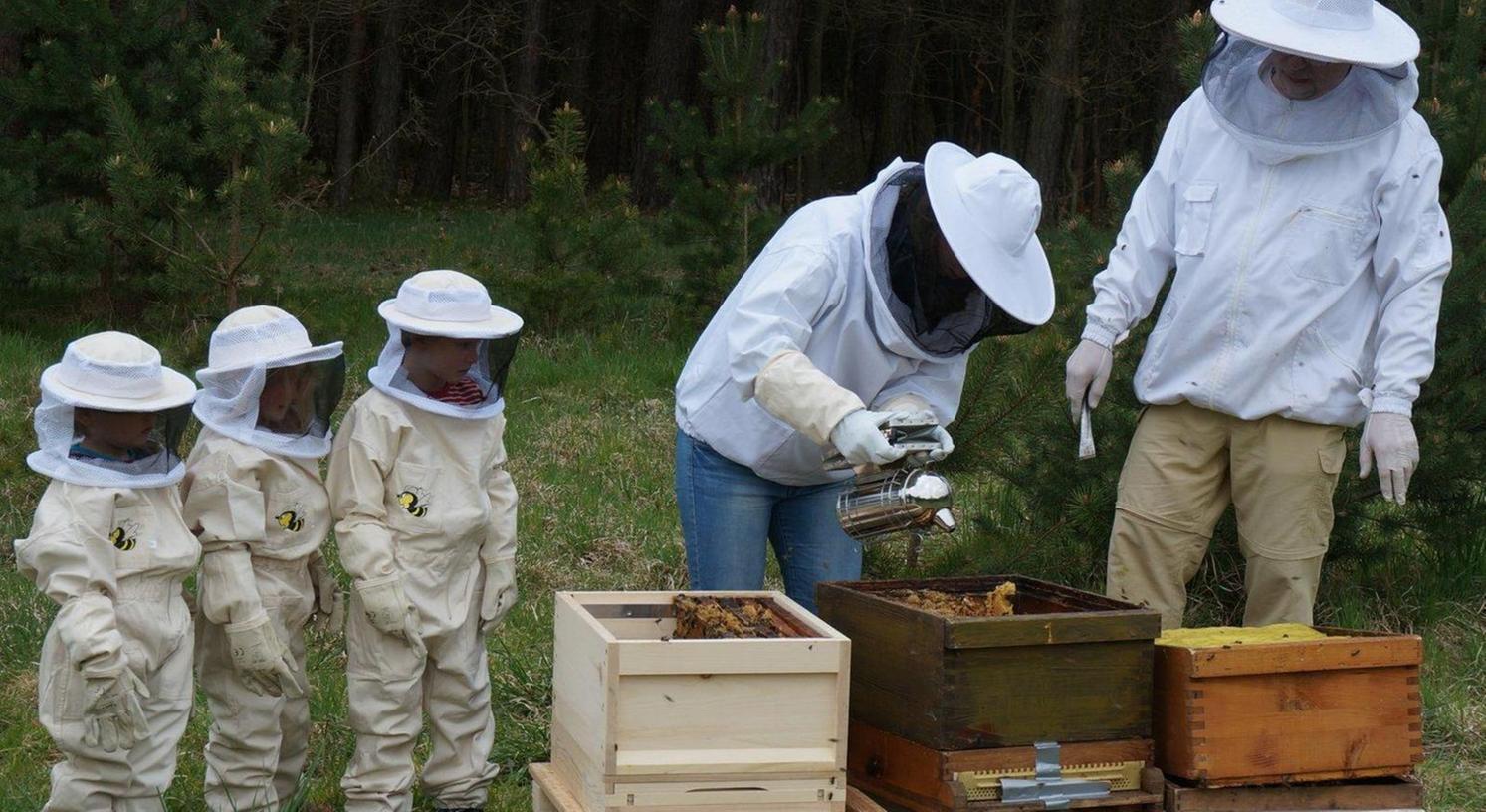 Erlangen: Bienen für die 