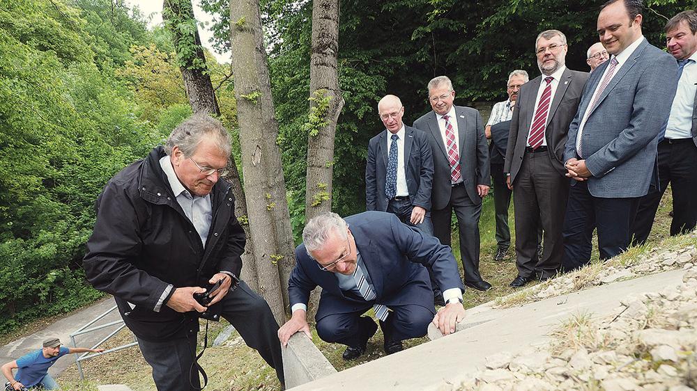 Eigene Tunnel für die Kröten