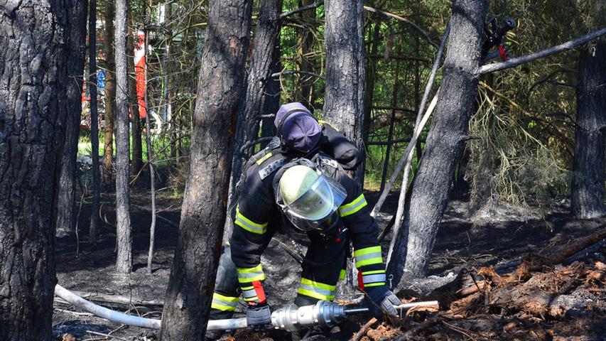 Tennenloher Forst in Flammen: Großeinsatz der Feuerwehren