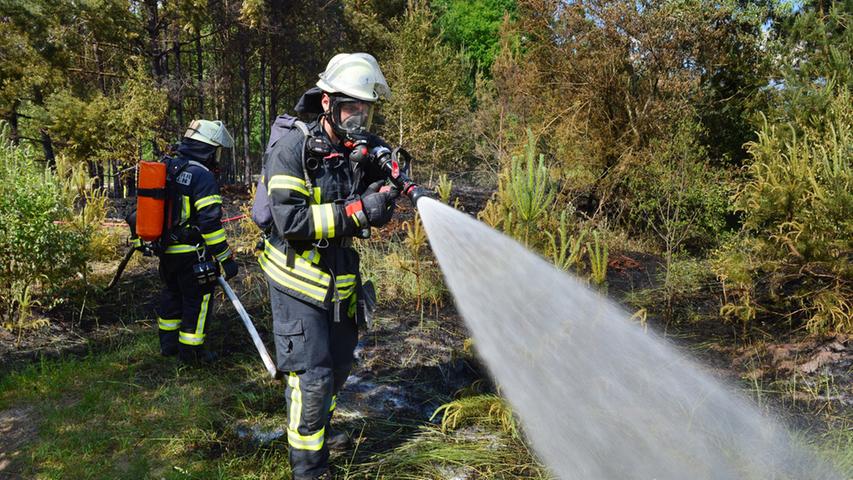 Tennenloher Forst in Flammen: Großeinsatz der Feuerwehren