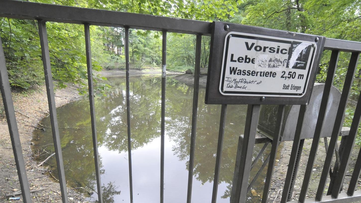 Erlangen: Tümpel soll sauberer Teich werden