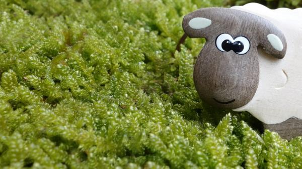 Wer hat seine Kindheit nicht mit Playmobil, Lego, Barbie und Co. verbracht. Allerdings entstehen dadurch auch Berge an Plastik im Kinderzimmer. Eine immer beliebter werdende Alternative ist Spielzeug aus Holz. Wer es nicht teuer im Handel kaufen möchte, kann für die Fertigung den handwerksaffinen Opa einspannen. So sind Großeltern und Kind beschäftigt - und das alles im Zeichen der Umwelt.