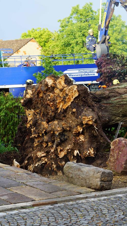 Baum stürzt nach Unwetter auf Haus in Bammersdorf