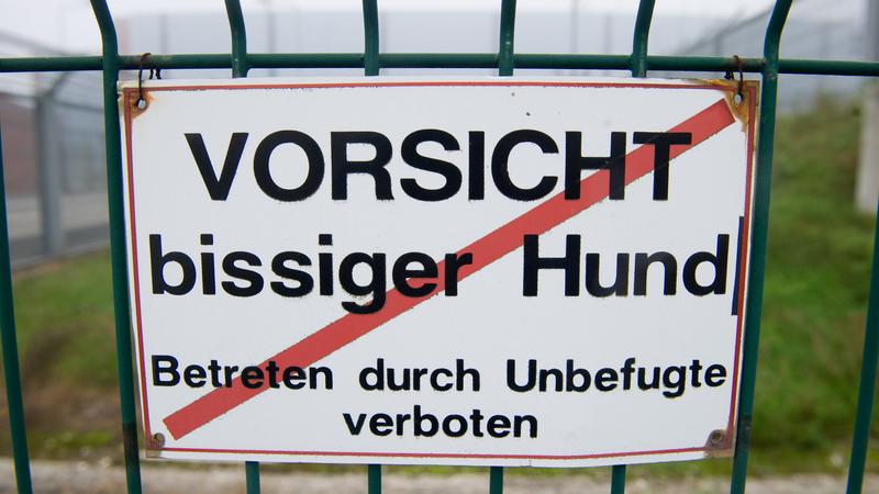 Die Zahl der Angriffe durch Hunde in Bayern steigt massiv. Auch in Nürnberg ist der Trend ähnlich.