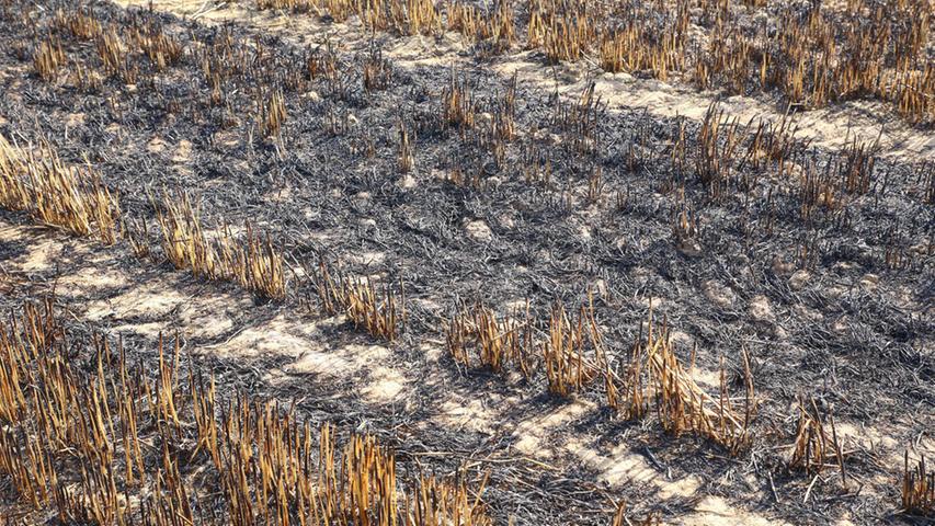 Brand bei Stein zerstört 20.000 Quadratmeter Ackerfläche