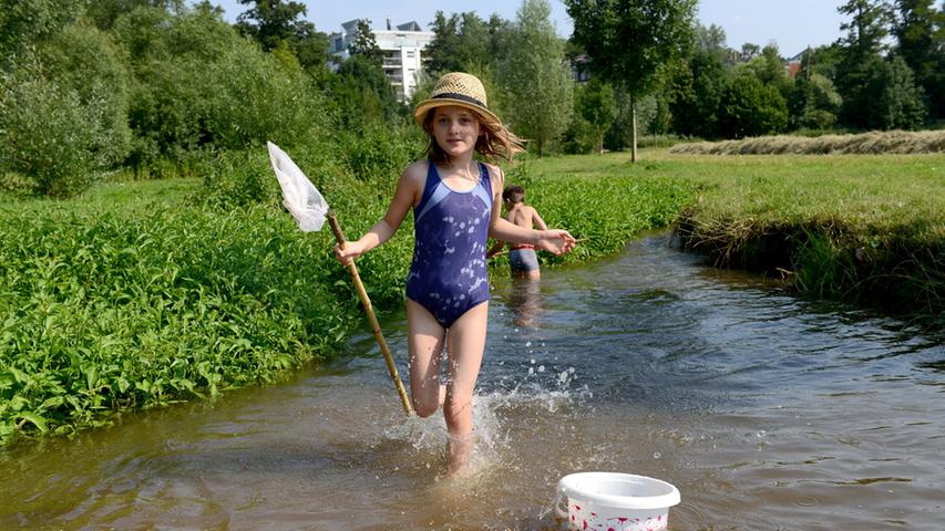 Auch in Fürth weiß man sich ob der hohen Temperaturen zu helfen. Mia (mit Strohhut) kühlt im Scherbsgraben ab und fängt mit ihrem Kescher kleine Fische.