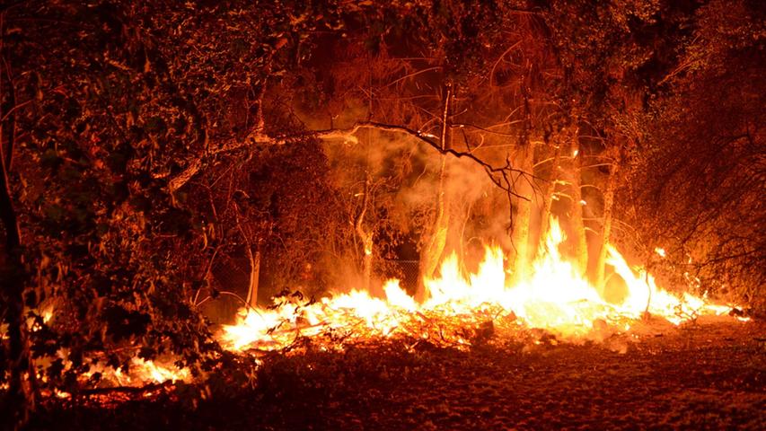 Hunderte Quadratmeter Wald und Wiese brannten in Fürth