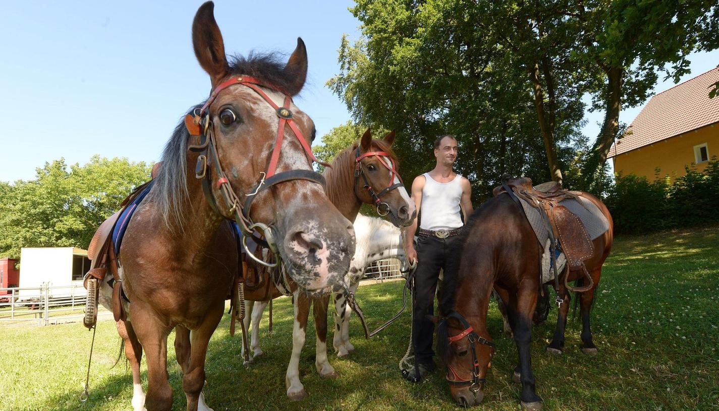 Online-Petition gegen Pony-Karussell auf der Sommerkerwa