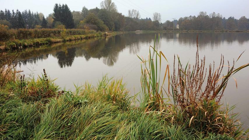 Ruhig und beschaulich ist es rund um den Dennenloher See im Landkreis Ansbach, dem kleinsten See im Fränkischen Seenland. Am West- und Ostufer können Wasserratten den Sommer genießen. Mit Liegewiesen und Kiosk, Seehausgaststätten, Kinderspielplatz, Wassertretbecken, Bootsverleih, Umkleidekabinen und Duschen lässt sich hier ein sorgloser Tag verbringen. Auch einen Campingplatz gibt es am Ufer. Adresse: Dennenloher Stausee 1 in 91743 Unterschwaningen