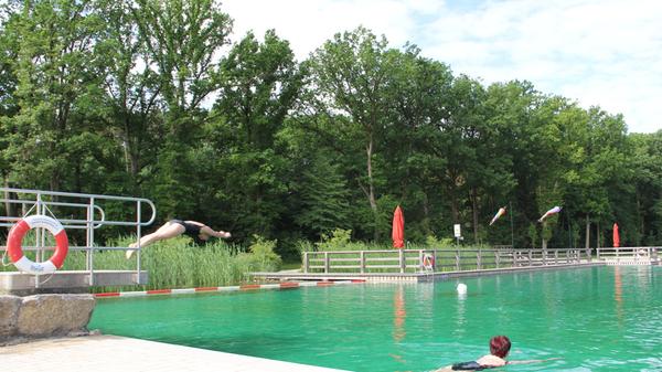 Das Naturfreibad in Großhabersdorf ist eines der größsten Naturfreibäder in Mittelfranken. Idyllisch im Schlauersbachtal gelegen, bietet das Naturbad viel Badespaß ohne Chemie, denn die Reinigung des Wassers erfolgt ganz natürlich. Neben einem Schwimmerbecken mit Sprungfelsen gibt es ein Nichtschwimmerbecken mit Wellenbreitrutsche und Wassertrampolin. Adresse: Nürnberger Str. 12 in 90613 Großhabersdorf