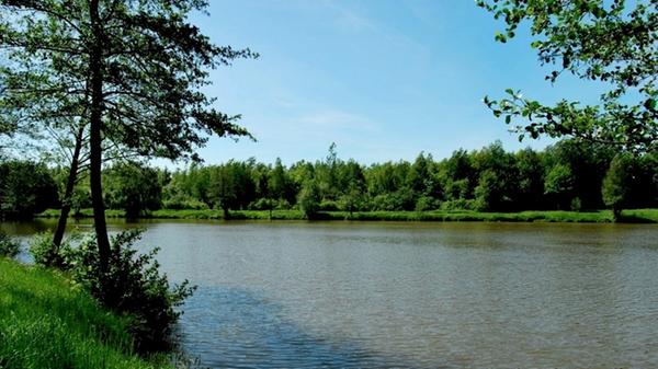 Am Erlensee in Schnelldorf bei Ansbach kann man nicht nur baden, grillen und sich sonnen - für den anspruchslosen Camper steht auch ein Campingplatz zur Verfügung. Der Kiosk ist über den ganzen Sommer geöffnet und in den Ort ist es auch nicht weit. Am Ostufer lockt pure Entspannung auf der großen Liegewiese. Adresse: Birkenbergstr. 91625 Schnelldorf