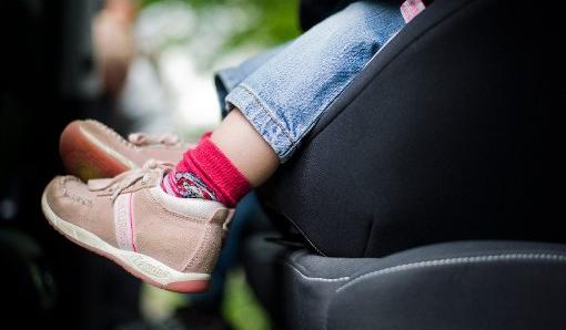 Kinder und Tiere in überhitzten Autos: So handeln Sie richtig