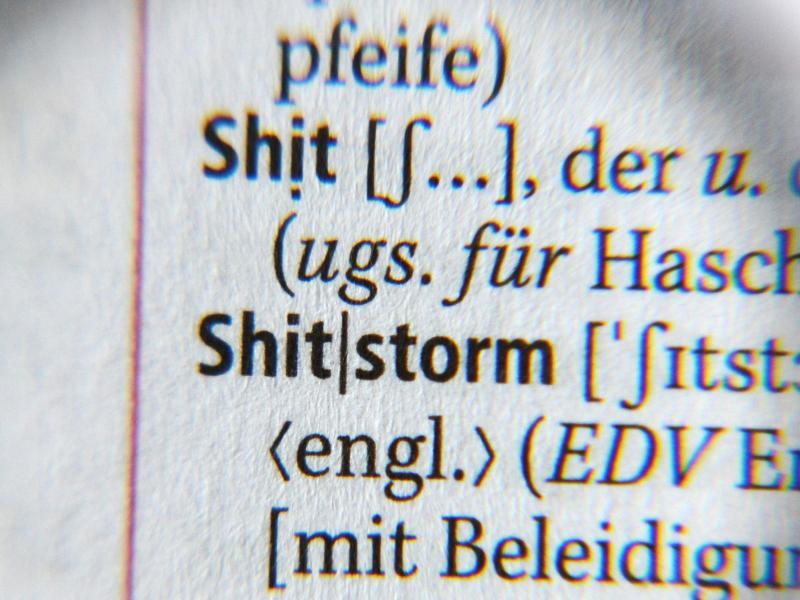 Neue_Debatte_über_«Shitstorm»_im_Internet_urn-newsml-dpa-com-20090101-150721-99-04499_large_4_3.jpg