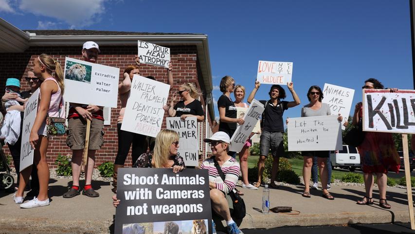 Löwe Cecil getötet, enthauptet und gehäutet: Proteste in Minnesota