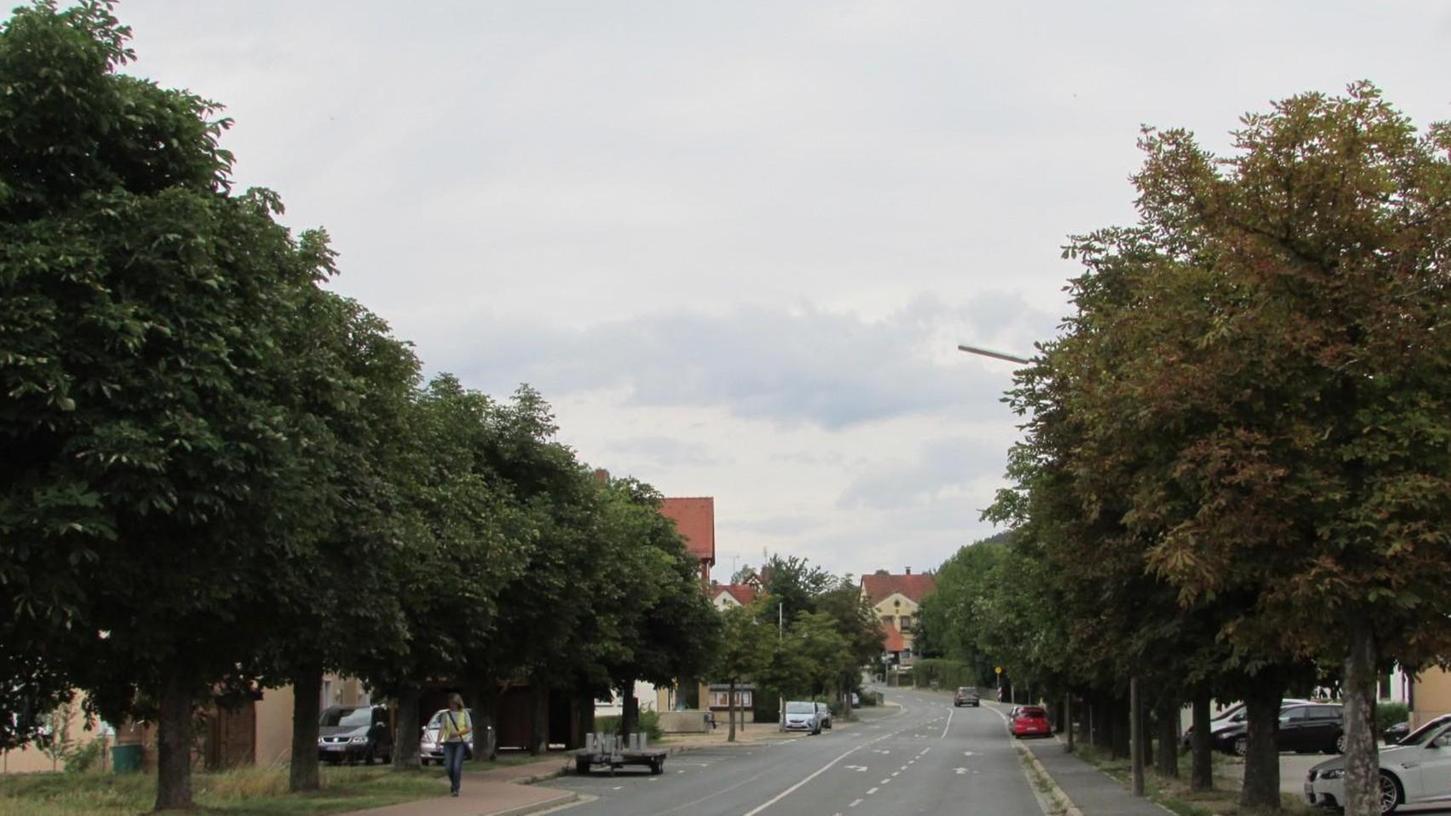 Die Kastanienallee entlang der Forchheimer Straße ist gefährdet.