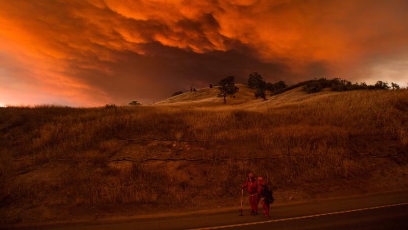 In den vergangenen Jahren tobten heftige Waldbrände auf der Erde - eine Folge des Klimawandels, sagen Experten.