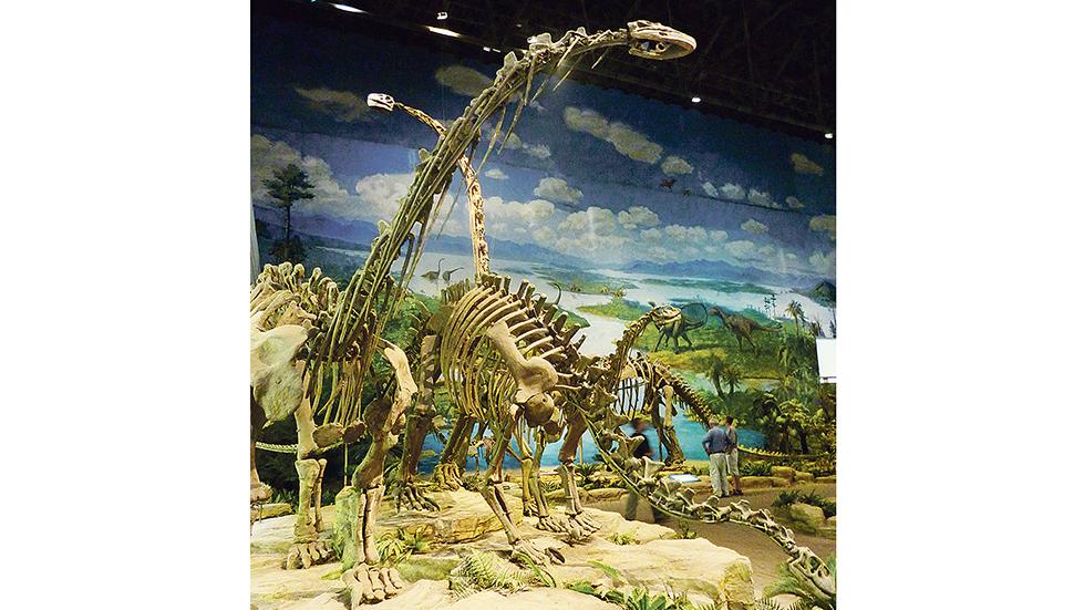 Die Dinosaurier in Solnhofen
