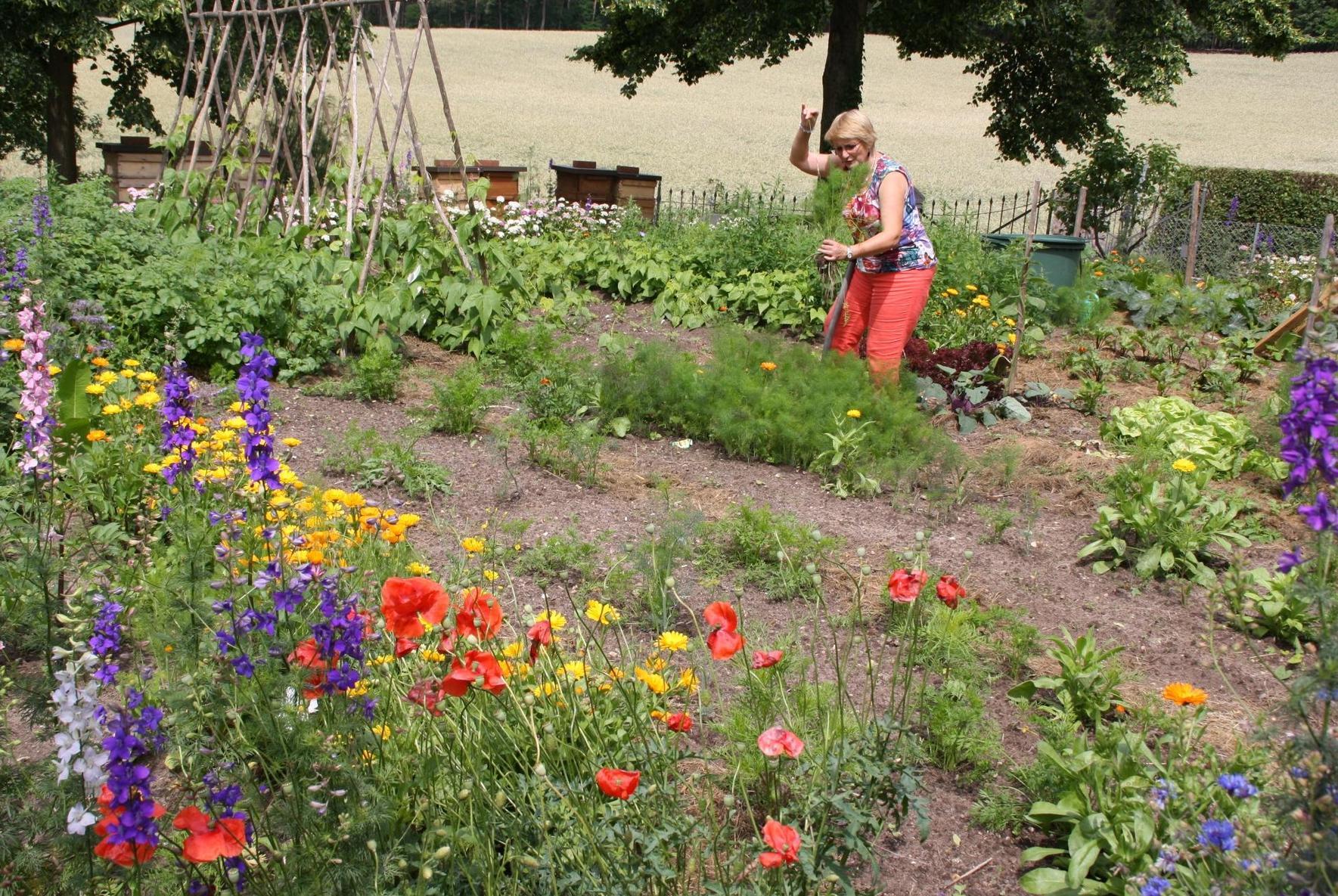 Schmiedelberg Heilmittel Im Garten Hochstadt Nordbayern De