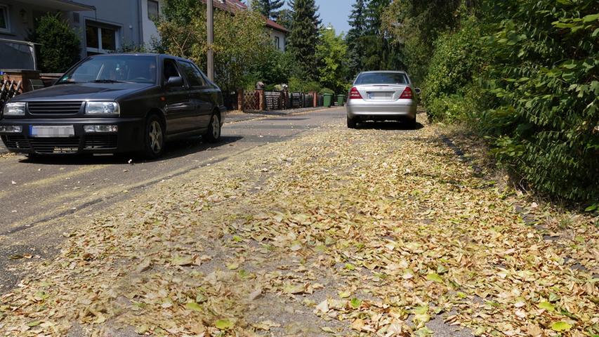 In Erlangen: Die Trockenheit sorgt für herbstliche Straßen