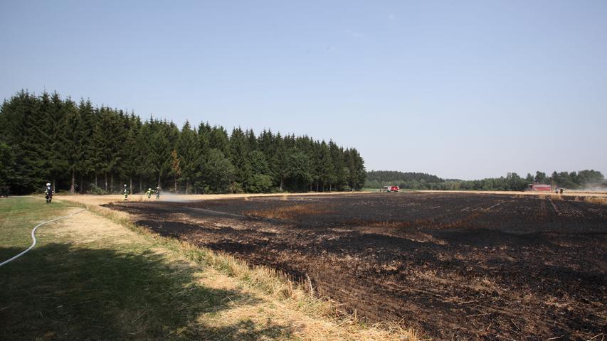 Die Auswirkungen nach einem Flächenbrand in Konradsreuth: Etwa ein Hektar des Getreidefelds wurden durch die Flammen zerstört.